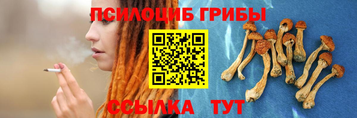 Галлюциногенные грибы ЛСД  Вход с VPN  Ессентуки 